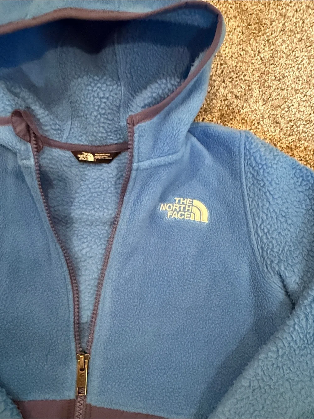 The North Face Kids Two-Tone Blue Hooded Fleece Jacket